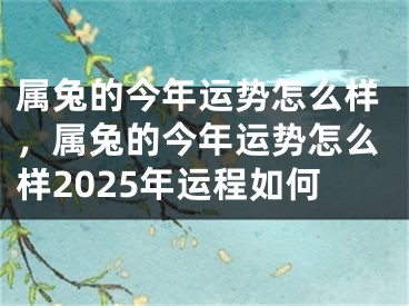 属兔的今年运势怎么样，属兔的今年运势怎么样2025年运程如何