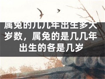 属兔的几几年出生多大岁数，属兔的是几几年出生的各是几岁