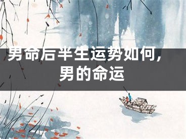 男命后半生运势如何,男的命运