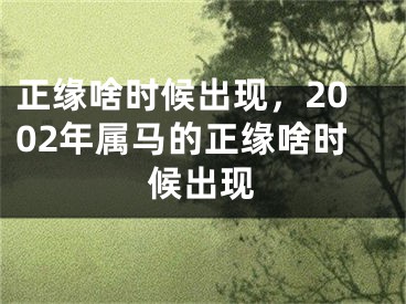 正缘啥时候出现,2002年属马的正缘啥时候出现