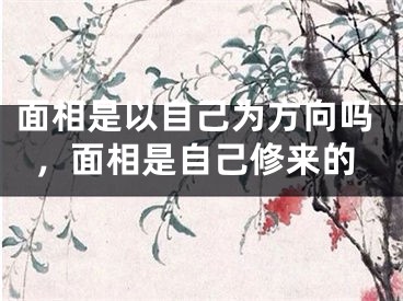面相是以自己为方向吗，面相是自己修来的
