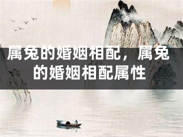 属兔的婚姻相配，属兔的婚姻相配属性