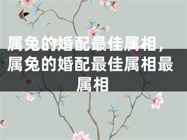 属兔的婚配最佳属相，属兔的婚配最佳属相最属相