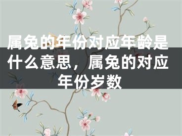 属兔的年份对应年龄是什么意思，属兔的对应年份岁数
