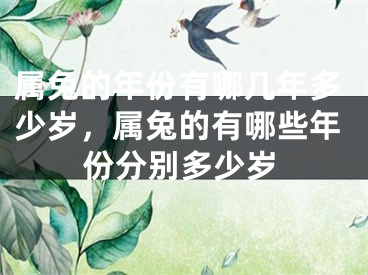 属兔的年份有哪几年多少岁,属兔的有哪些年份分别多少岁