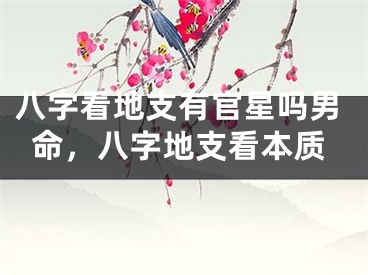 八字看地支有官星吗男命，八字地支看本质