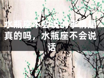 水瓶座不会说的事情是真的吗，水瓶座不会说话