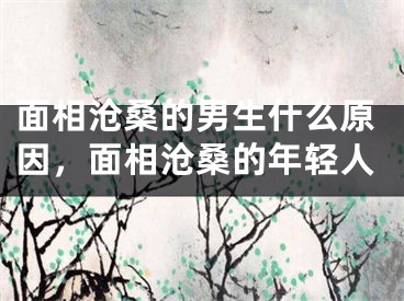 面相沧桑的男生什么原因，面相沧桑的年轻人