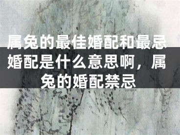 属兔的最佳婚配和最忌婚配是什么意思啊，属兔的婚配禁忌