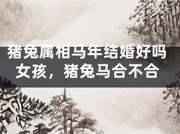 猪兔属相马年结婚好吗女孩，猪兔马合不合