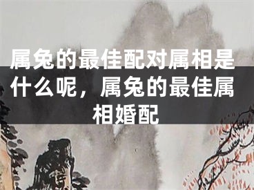 属兔的最佳配对属相是什么呢，属兔的最佳属相婚配