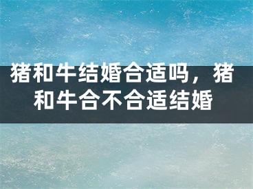 猪和牛结婚合适吗，猪和牛合不合适结婚