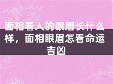 面相看人的眼眉长什么样，面相眼眉怎看命运吉凶