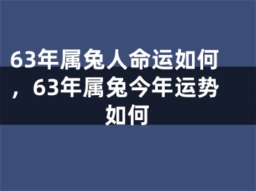 63年属兔人命运如何，63年属兔今年运势如何
