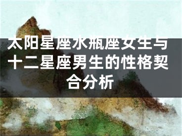 太阳星座水瓶座女生与十二星座男生的性格契合分析