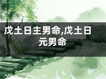 戊土日主男命,戊土日元男命