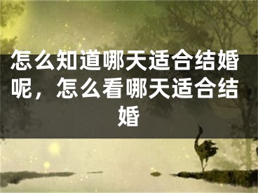 怎么知道哪天适合结婚呢，怎么看哪天适合结婚