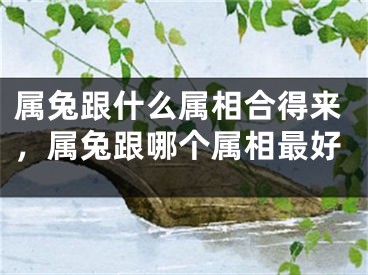 属兔跟什么属相合得来，属兔跟哪个属相最好