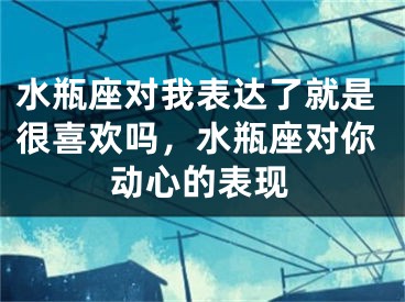 水瓶座对我表达了就是很喜欢吗，水瓶座对你动心的表现