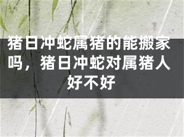 猪日冲蛇属猪的能搬家吗，猪日冲蛇对属猪人好不好