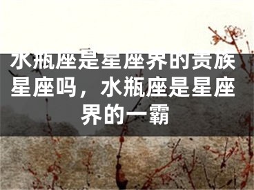 水瓶座是星座界的贵族星座吗，水瓶座是星座界的一霸