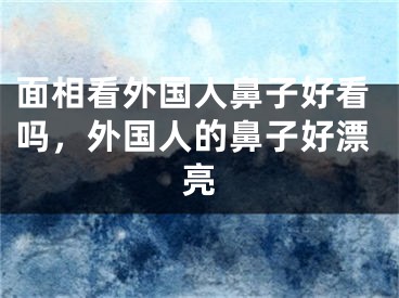 面相看外国人鼻子好看吗，外国人的鼻子好漂亮