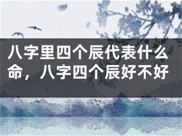 八字里四个辰代表什么命，八字四个辰好不好