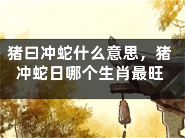 猪曰冲蛇什么意思，猪冲蛇日哪个生肖最旺