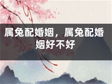 属兔配婚姻，属兔配婚姻好不好