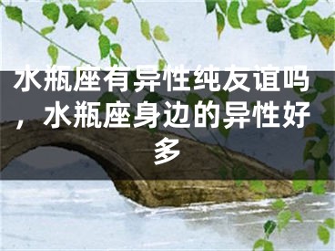 水瓶座有异性纯友谊吗，水瓶座身边的异性好多