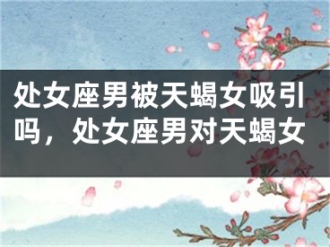 处女座男被天蝎女吸引吗，处女座男对天蝎女