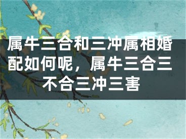 属牛三合和三冲属相婚配如何呢，属牛三合三不合三冲三害