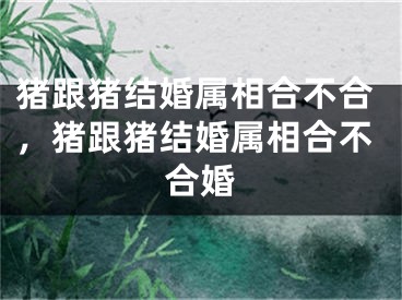 猪跟猪结婚属相合不合，猪跟猪结婚属相合不合婚