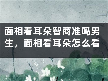 面相看耳朵智商准吗男生，面相看耳朵怎么看