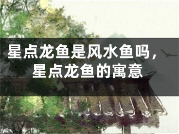 星点龙鱼是风水鱼吗，星点龙鱼的寓意