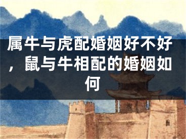 属牛与虎配婚姻好不好，鼠与牛相配的婚姻如何