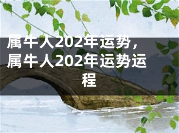 属牛人202年运势，属牛人202年运势运程