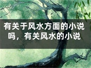 有关于风水方面的小说吗，有关风水的小说