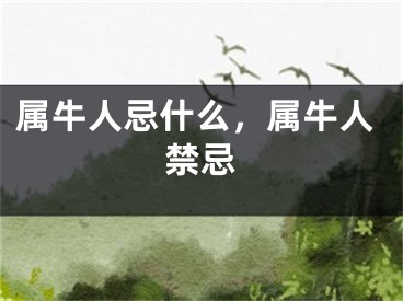 属牛人忌什么，属牛人禁忌