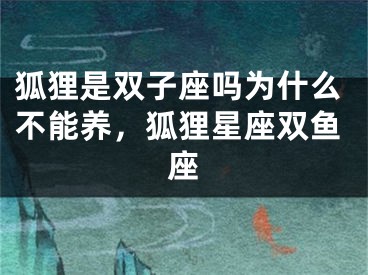 狐狸是双子座吗为什么不能养，狐狸星座双鱼座