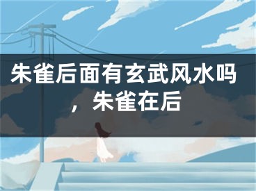 朱雀后面有玄武风水吗，朱雀在后