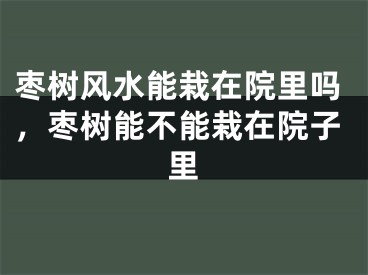 枣树风水能栽在院里吗，枣树能不能栽在院子里