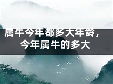 属牛今年都多大年龄，今年属牛的多大