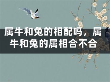 属牛和兔的相配吗，属牛和兔的属相合不合
