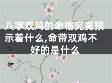 八字双鸡的命格究竟预示着什么,命带双鸡不好的是什么