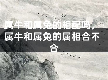属牛和属兔的相配吗，属牛和属兔的属相合不合