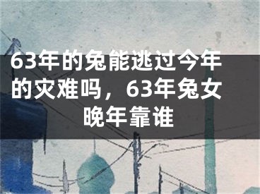 63年的兔能逃过今年的灾难吗，63年兔女晚年靠谁