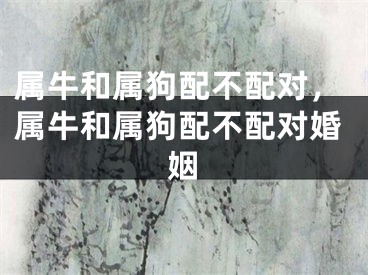 属牛和属狗配不配对，属牛和属狗配不配对婚姻