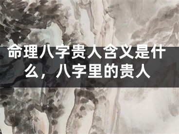 命理八字贵人含义是什么，八字里的贵人
