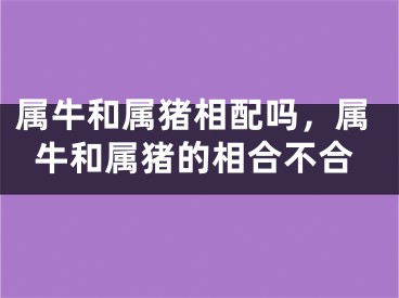 属牛和属猪相配吗，属牛和属猪的相合不合
